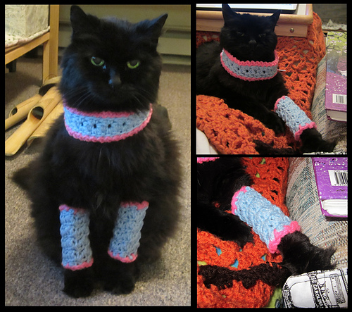Marie Antoinette Cat Leg Warmers and Cowl photo 1