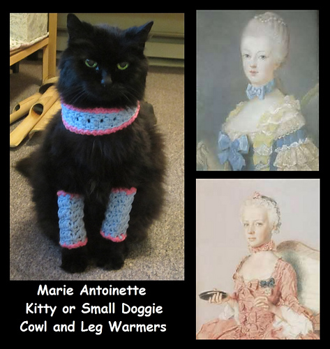 Marie Antoinette Cat Leg Warmers and Cowl photo 2