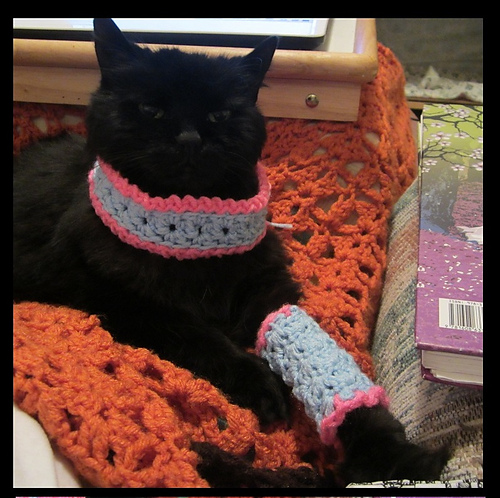 Marie Antoinette Cat Leg Warmers and Cowl photo 3