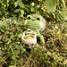 Forest Forager Frog pattern 
