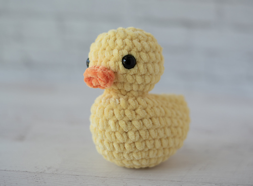 Scout the Duck