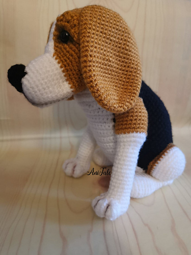 Ben Beagle Hund - Anita Mucsanyine Gyurko