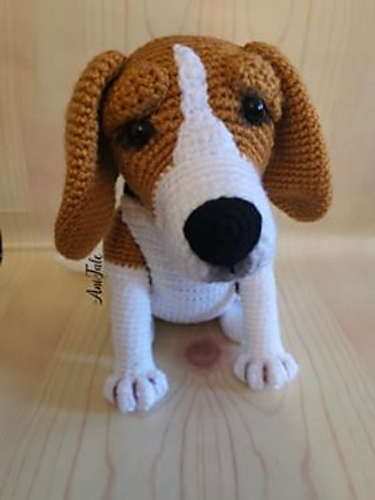 Ben Beagle Hund - Anita Mucsanyine Gyurko