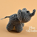 Elephant Panteleymon photo 3