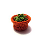 Plant pattern