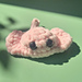 Raie pastenague pattern