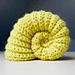 Ammonite fossil pattern 