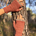 Mitones Coquette pattern 