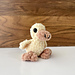 Chunky Duck pattern 