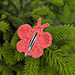 Hair clip  Butterfly pattern 