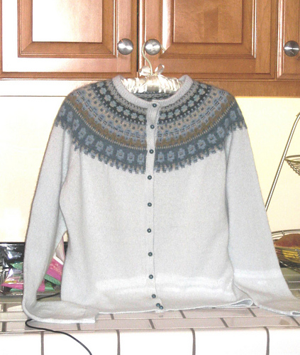 Blå Skimmer Pullover - Cruelgirl
