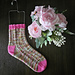 Garden Fountain Socks pattern