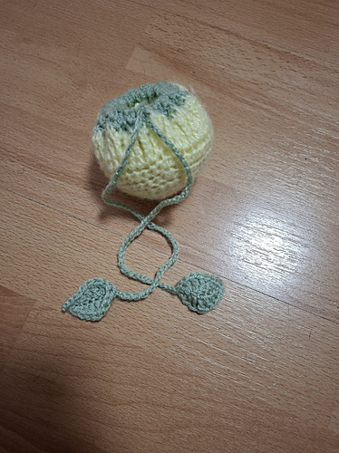 1 hour lemon Mini fruit bag