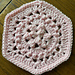 Nautilus Motif pattern 