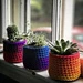 Oui Yogurt Jar Cover pattern 