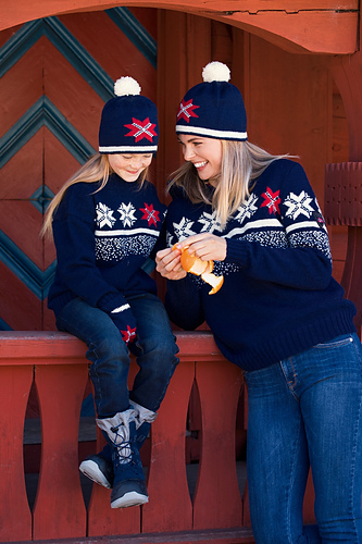 Pull dolomiten ビンテージ スキーセーター　超レア Dale of Norway Unisex Setesdal Pullover - Sweater Chalet