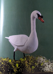 This is the photo from the book.