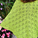 Flourish Fusion shawl pattern
