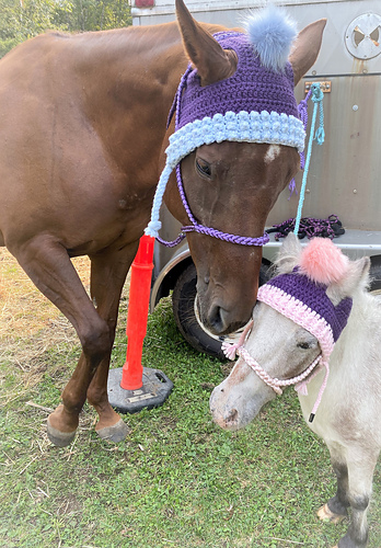 Hestehette i heklegarn - Melody Phillips