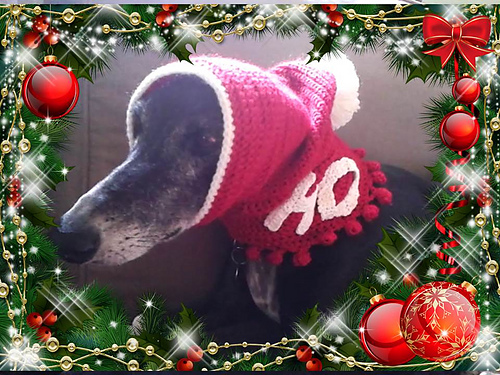 Greyhound Christmas Hat photo 1