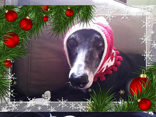 Greyhound Christmas Hat photo 2