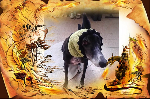 Greyhound/Dog Dragon Hat photo 1