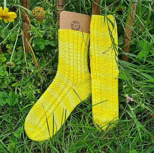 Let there be Sock photo 7