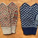 Seedy Mittens pattern