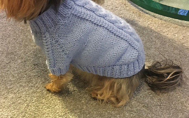 flat knit dog sweater pattern