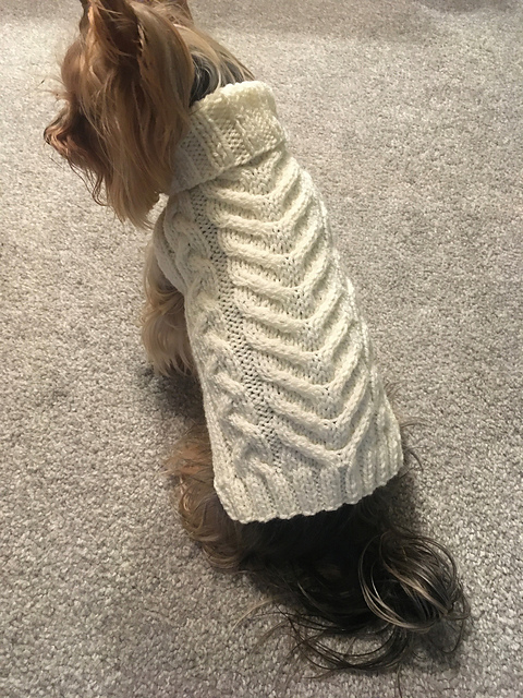 aran dog jumper pattern