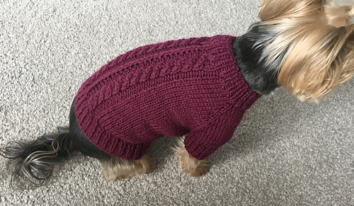 top down dog sweater