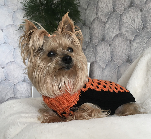 トップス NKNIT cat/dog jacquard KNIT nknit cat/dog jacquard KNIT