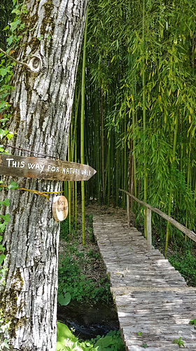 Walk around The Watermill in Posara, Lunigiani