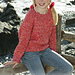 s15-12 Sea Belle pattern 