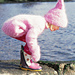 b10-15 Pink Pixie photo 3