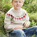 47-13 Mushroom Season Sweater pattern 