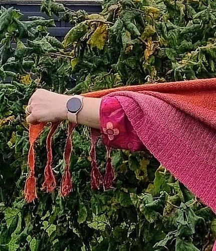 Vimpler - Duens Design