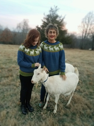 ニット/セーター EEL SHEEP AND GOAT Ravelry: Old Goats Pullover pattern by Rachel Leverton