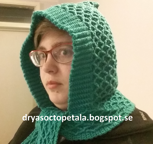 scarf hoodie photo 1