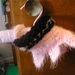 Fancy Lace Capelet pattern 