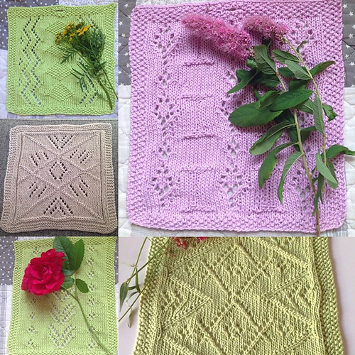 5 kluter - Elena Rise