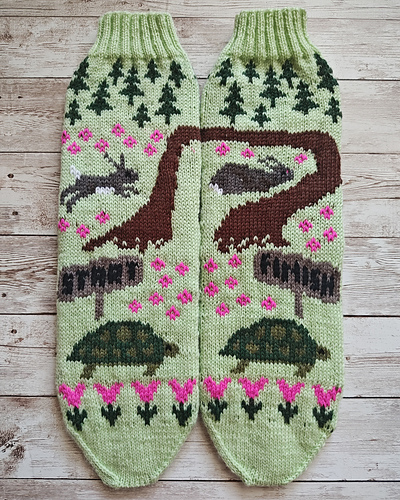 Tortoise and the Hare Socks
