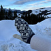 Norwegian Star Convertible Mittens pattern