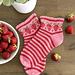Fraisier pattern