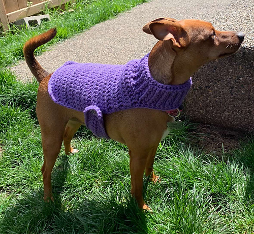 Ravelry: Cat/Small Dog Sweater pattern by Sarah Petersen