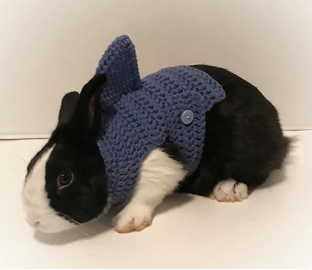 Ravelry: Rabbit Shark Costume pattern by Sarah Petersen