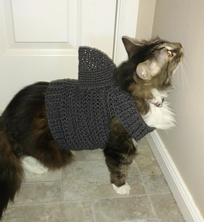 Cat Shark Sweater pattern by Sarah Petersen
