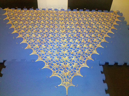 Elise Shawl photo 7