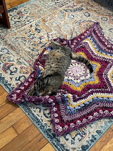 初めての6日スターブランケット（糸をめっちゃ買いすぎたかも） : r