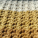 Charming Single Crochets photo 4